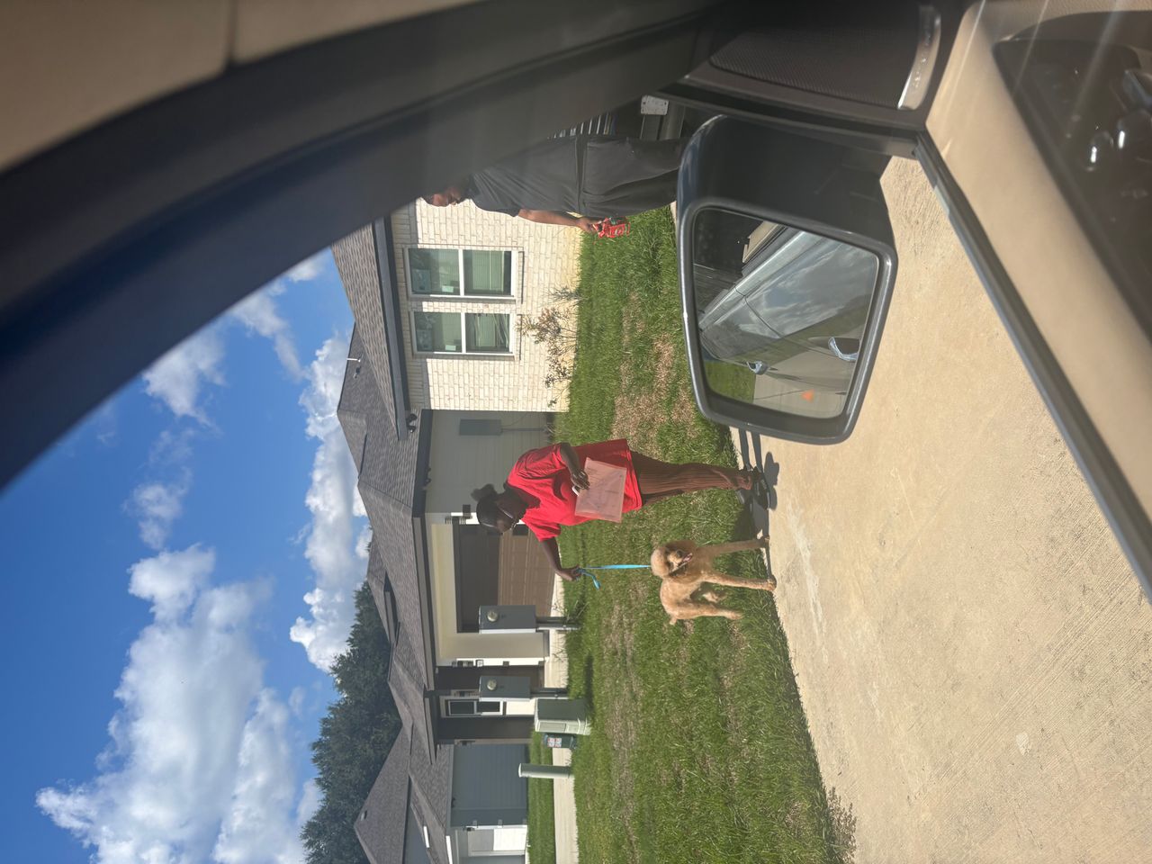 Pet travel photo 1