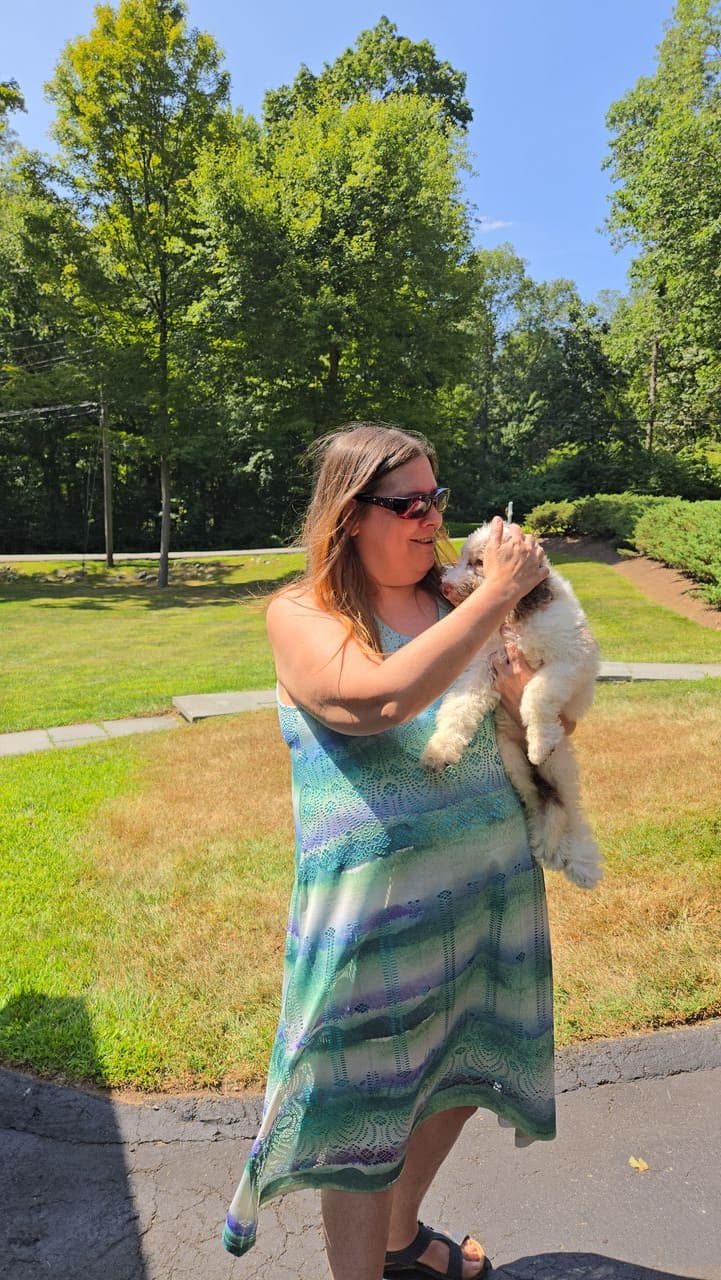 Pet travel photo 4