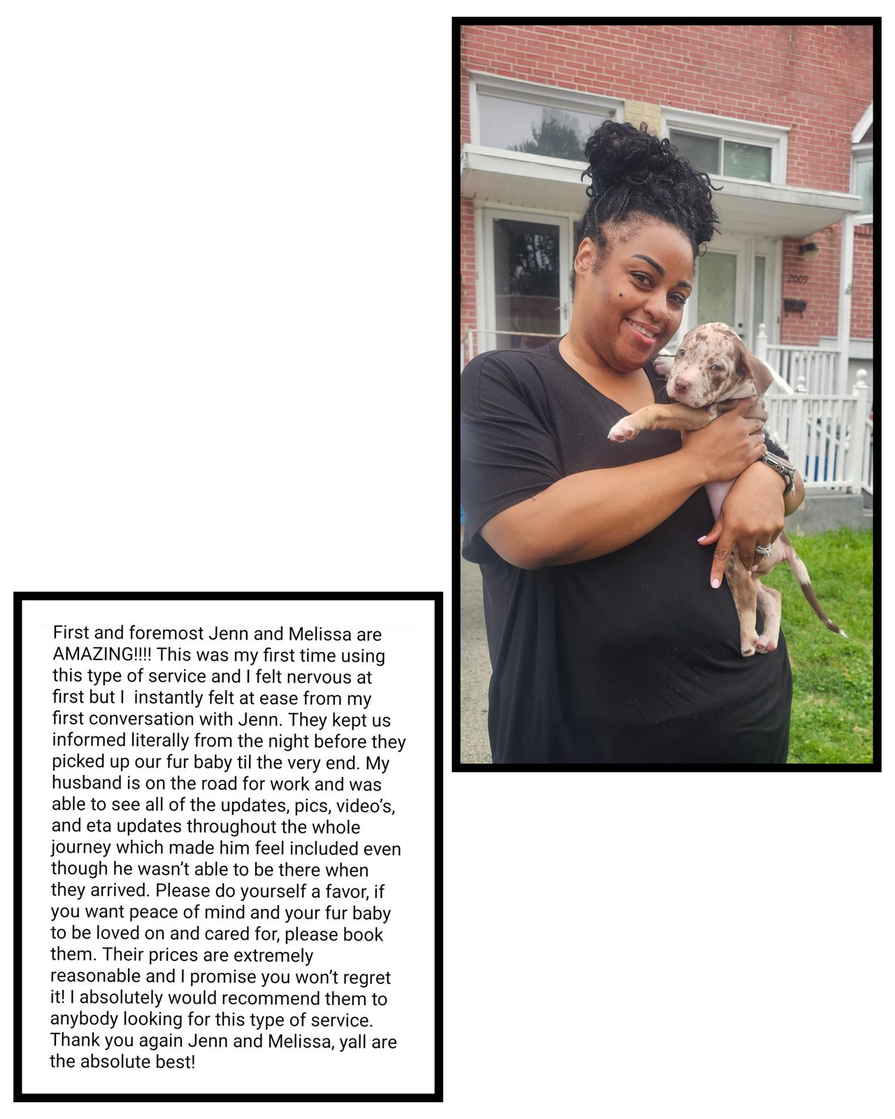 Pet travel photo 4