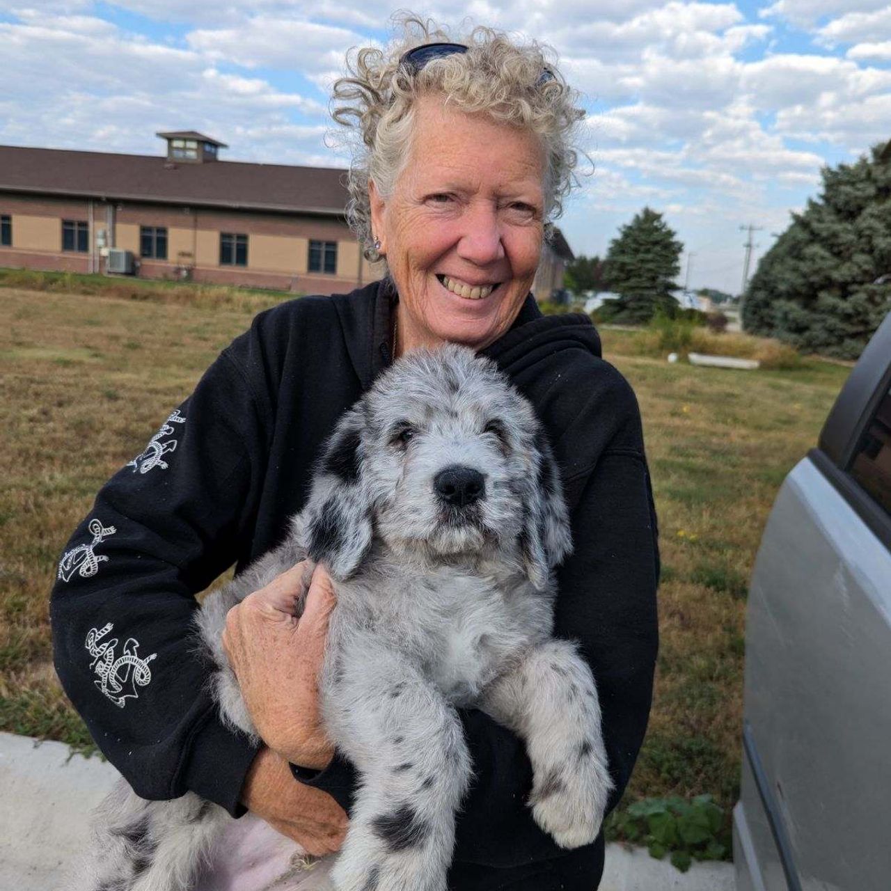 Pet travel photo 6