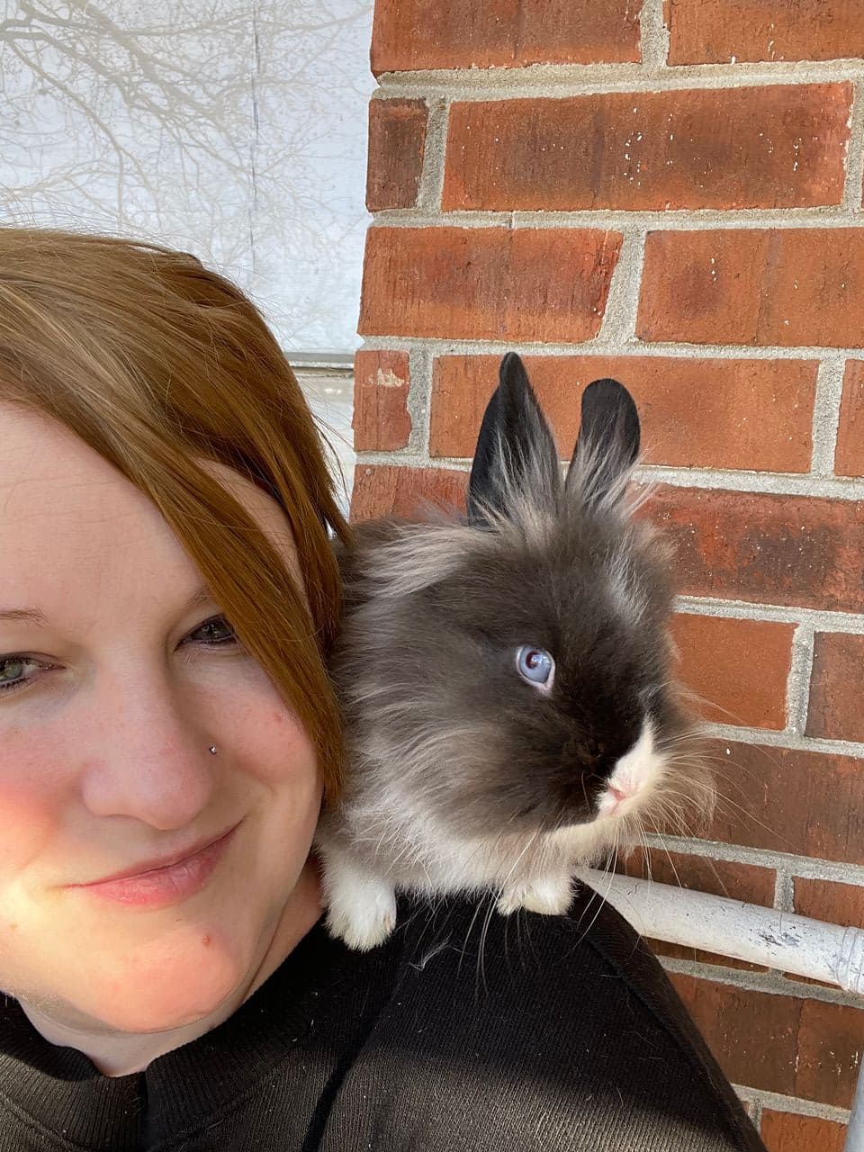 Pet travel photo 3