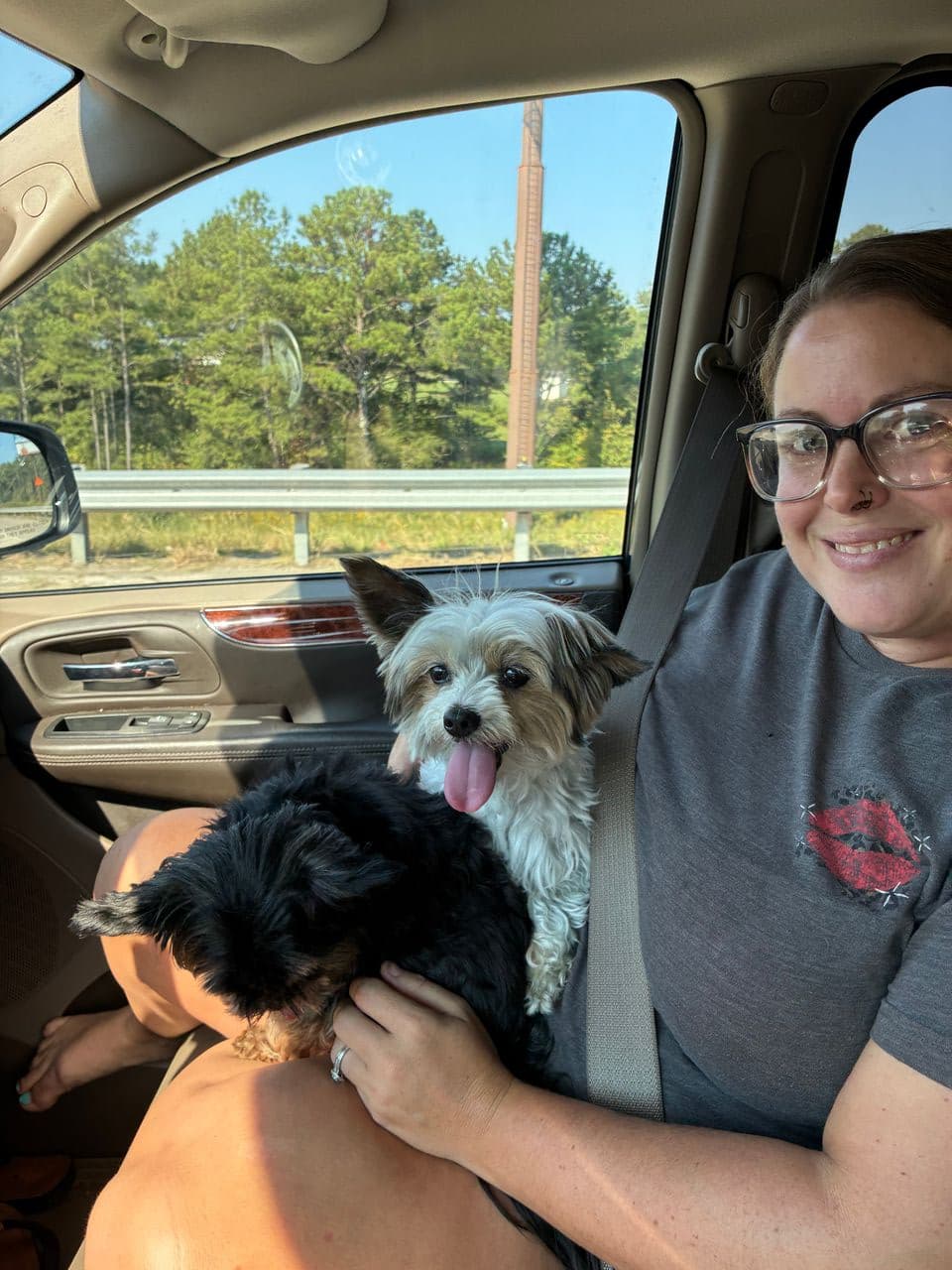 Pet travel photo 5