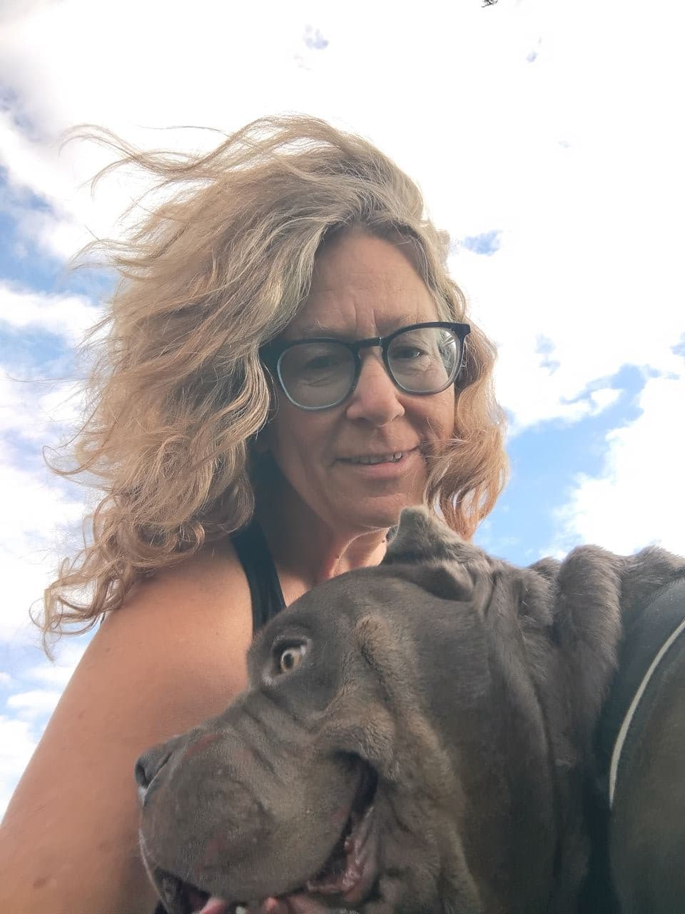 Pet travel photo 4