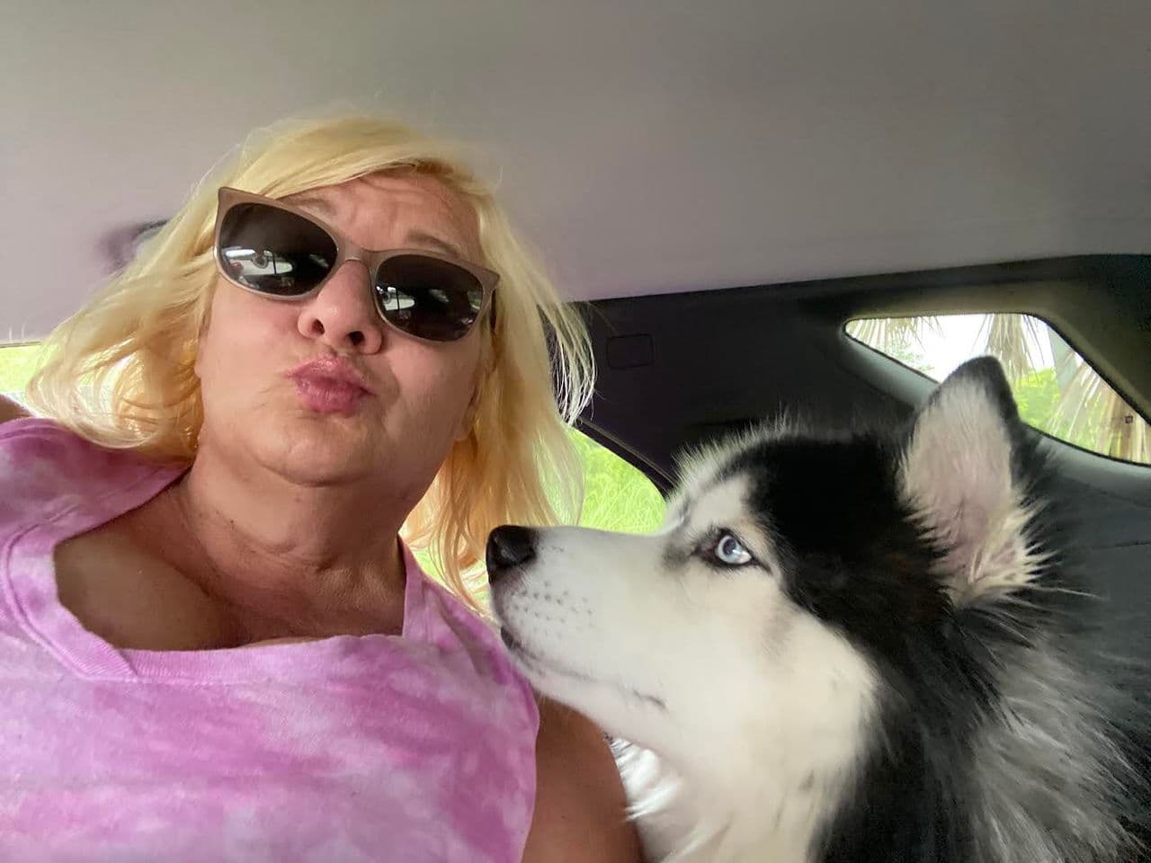 Pet travel photo 3