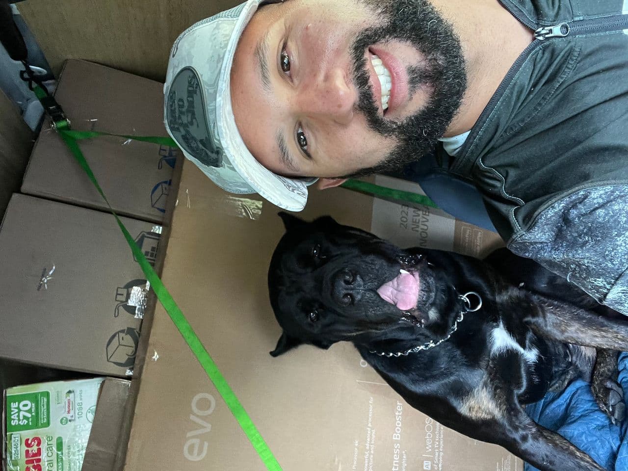Pet travel photo 1