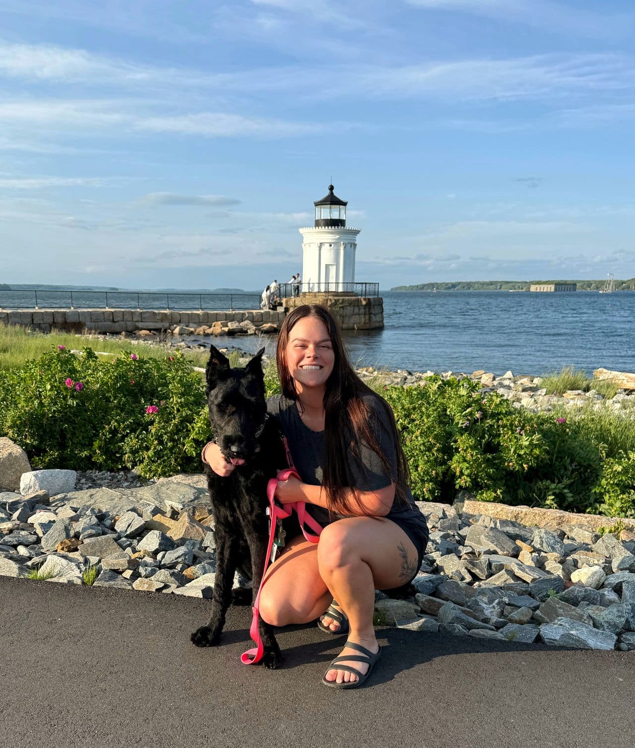 Pet travel photo 1
