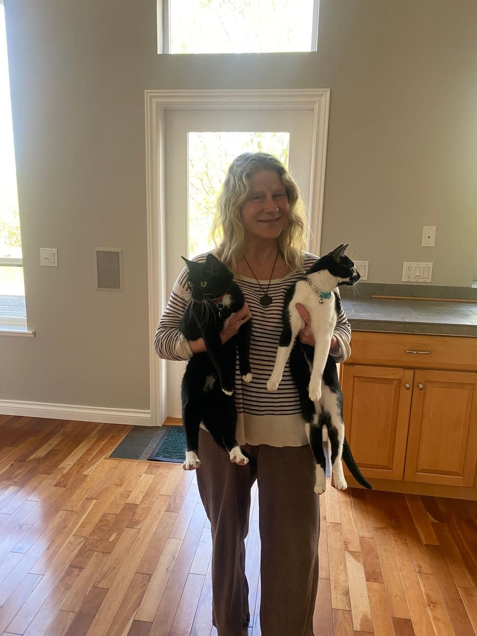 Pet travel photo 4