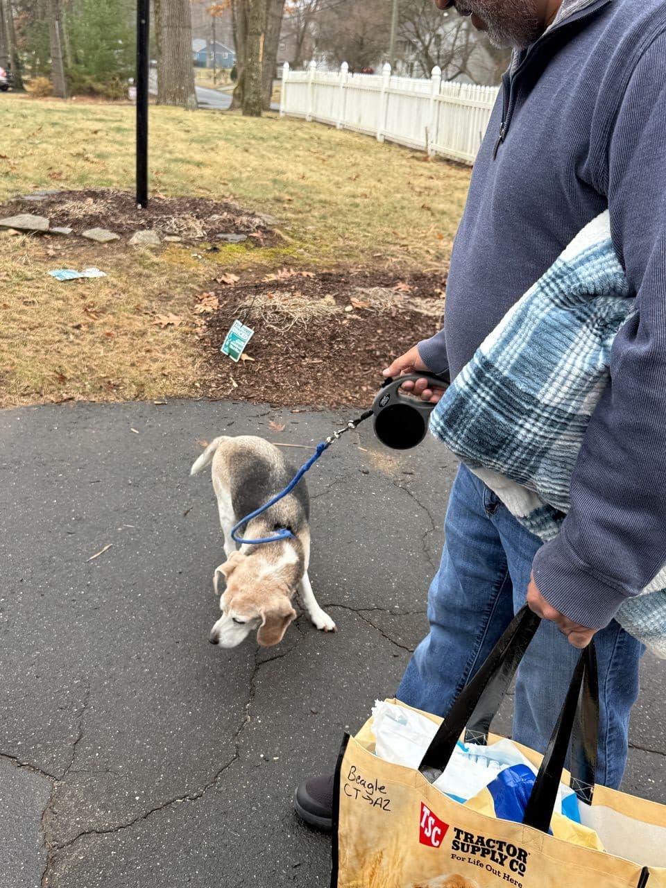 Pet travel photo 5