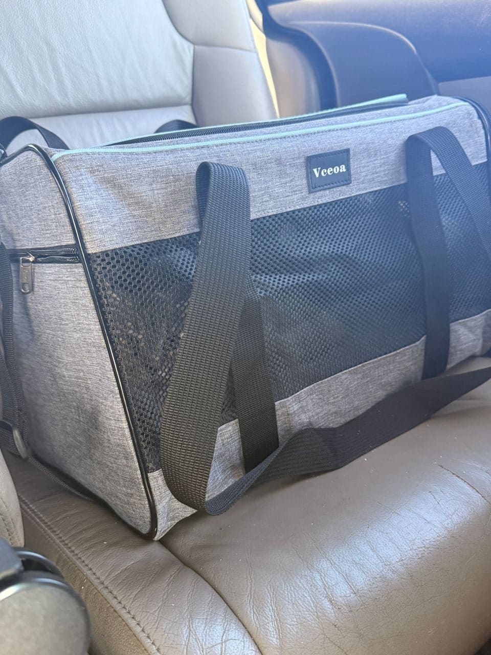 Pet travel photo 2