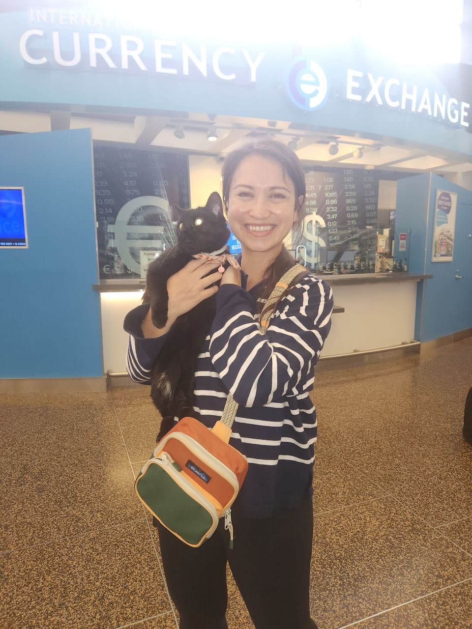 Pet travel photo 5