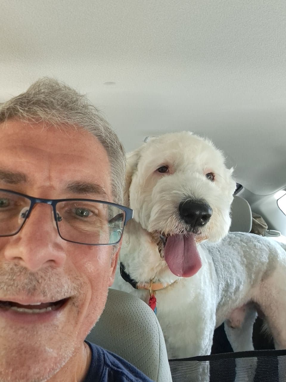 Pet travel photo 1