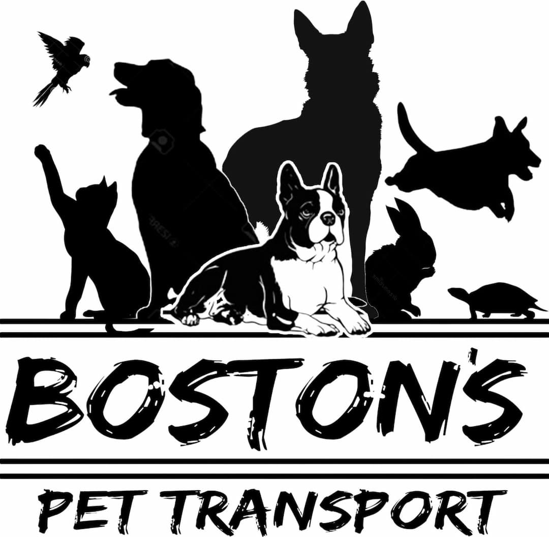 Boston's Pet Transport