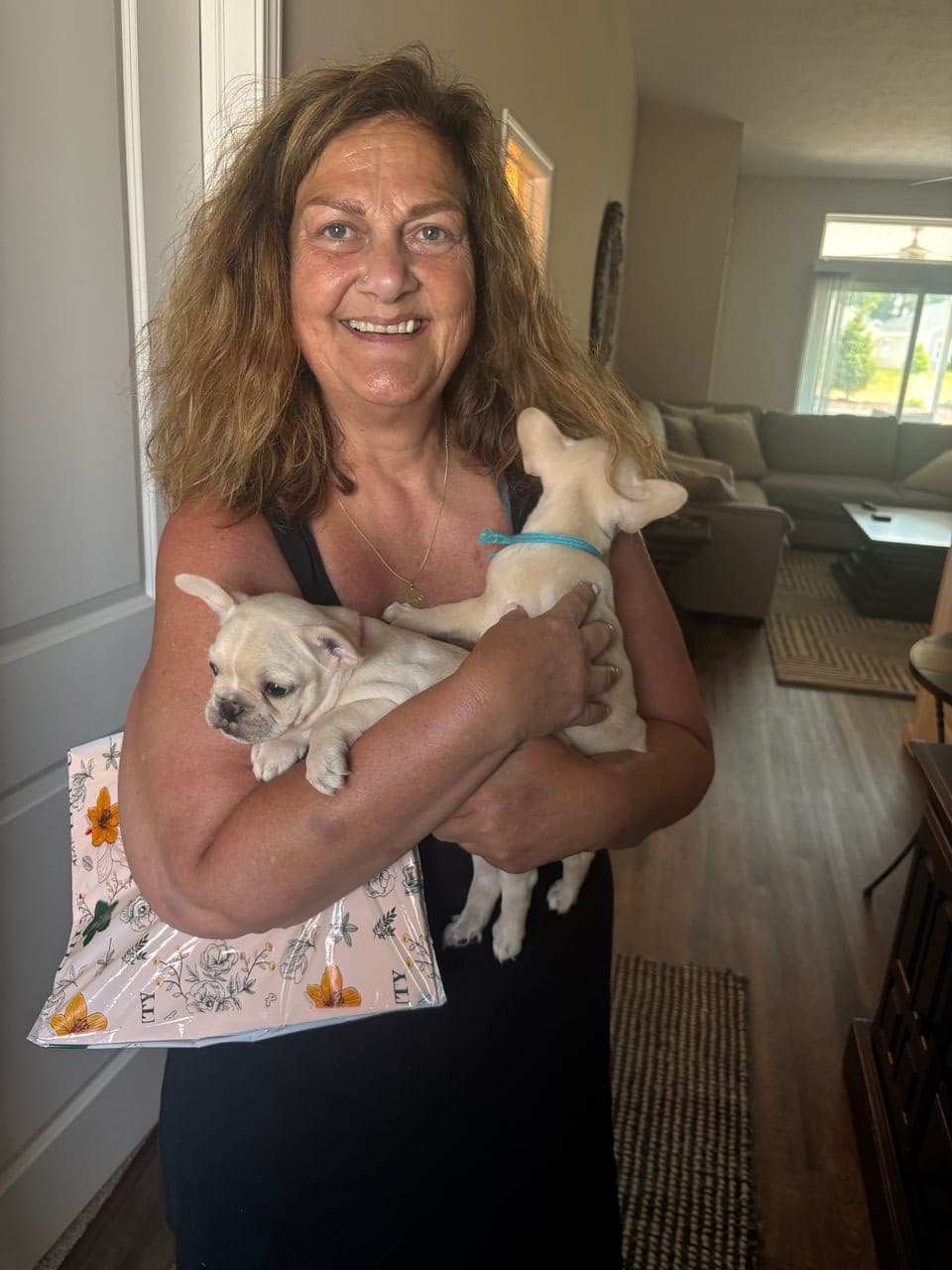Pet travel photo 1