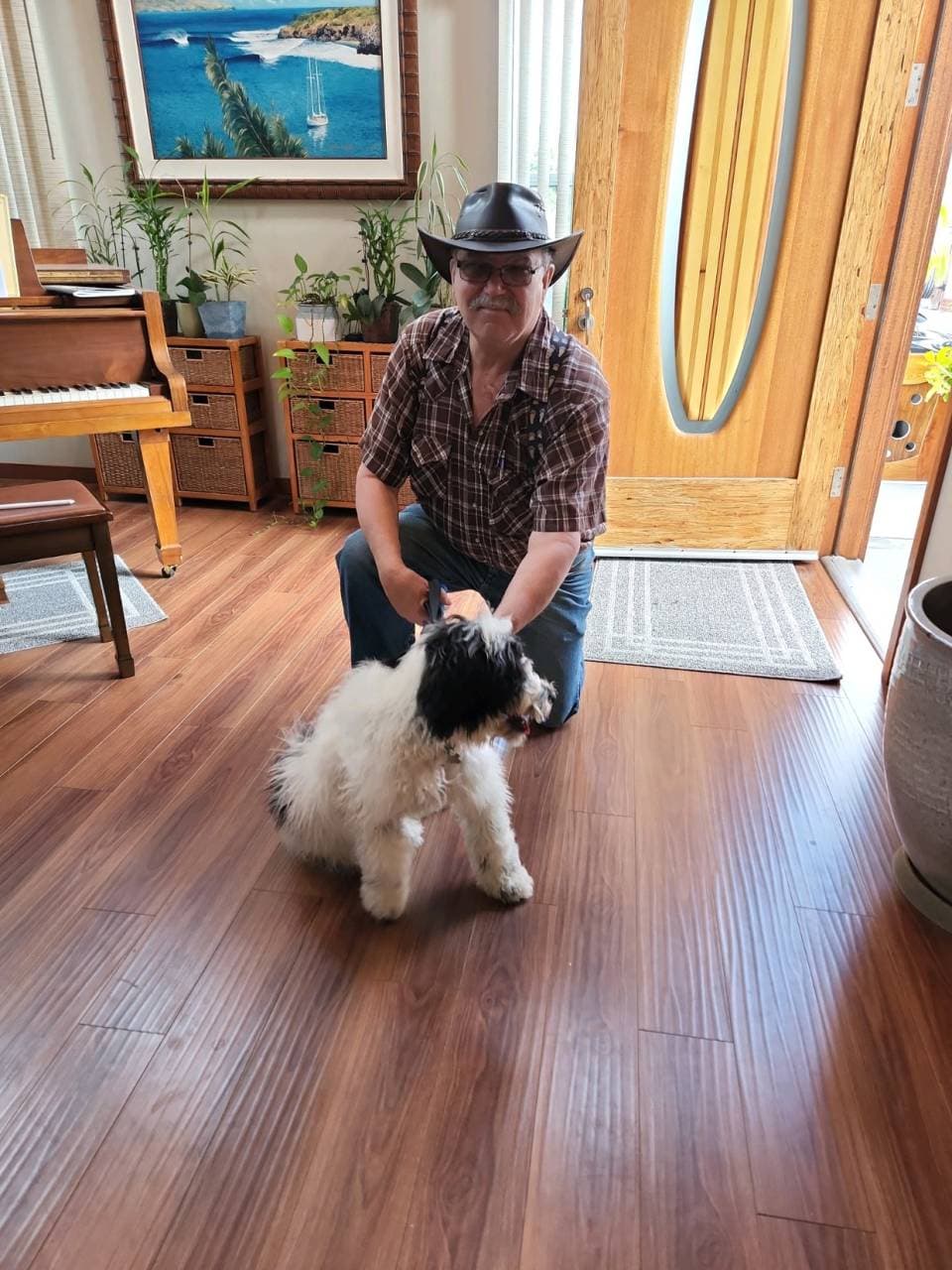 Pet travel photo 6