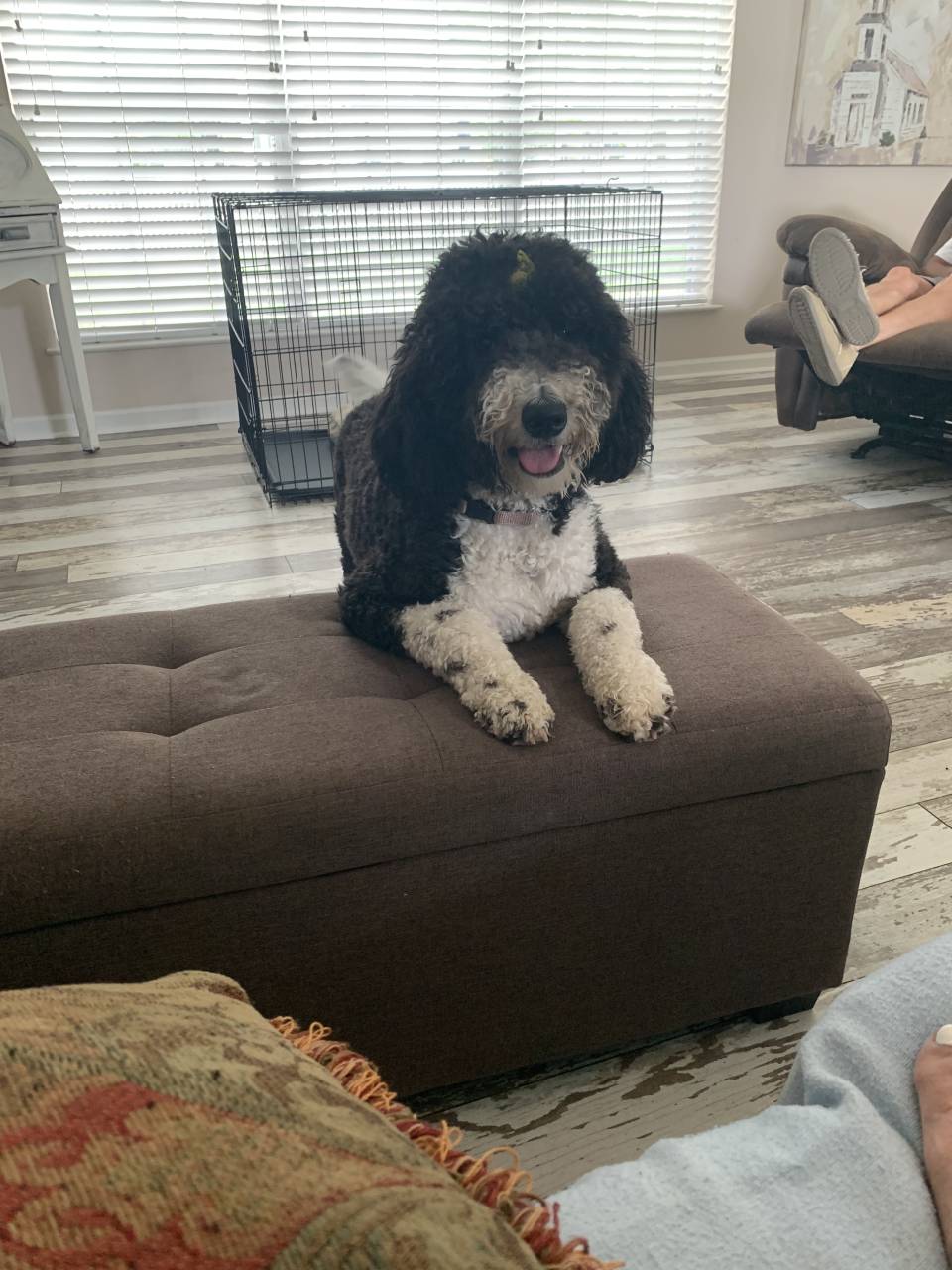 Sophie