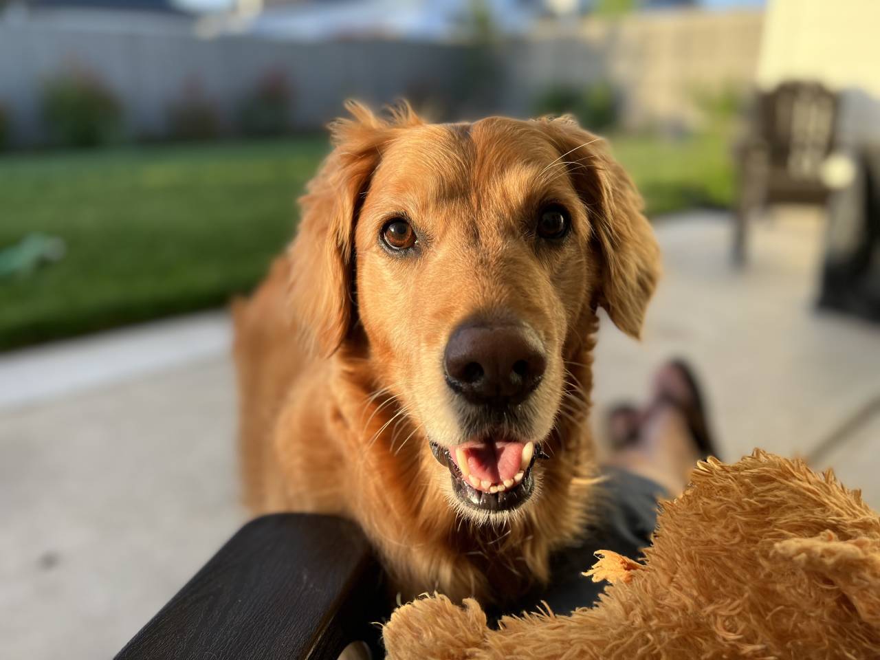 Kona