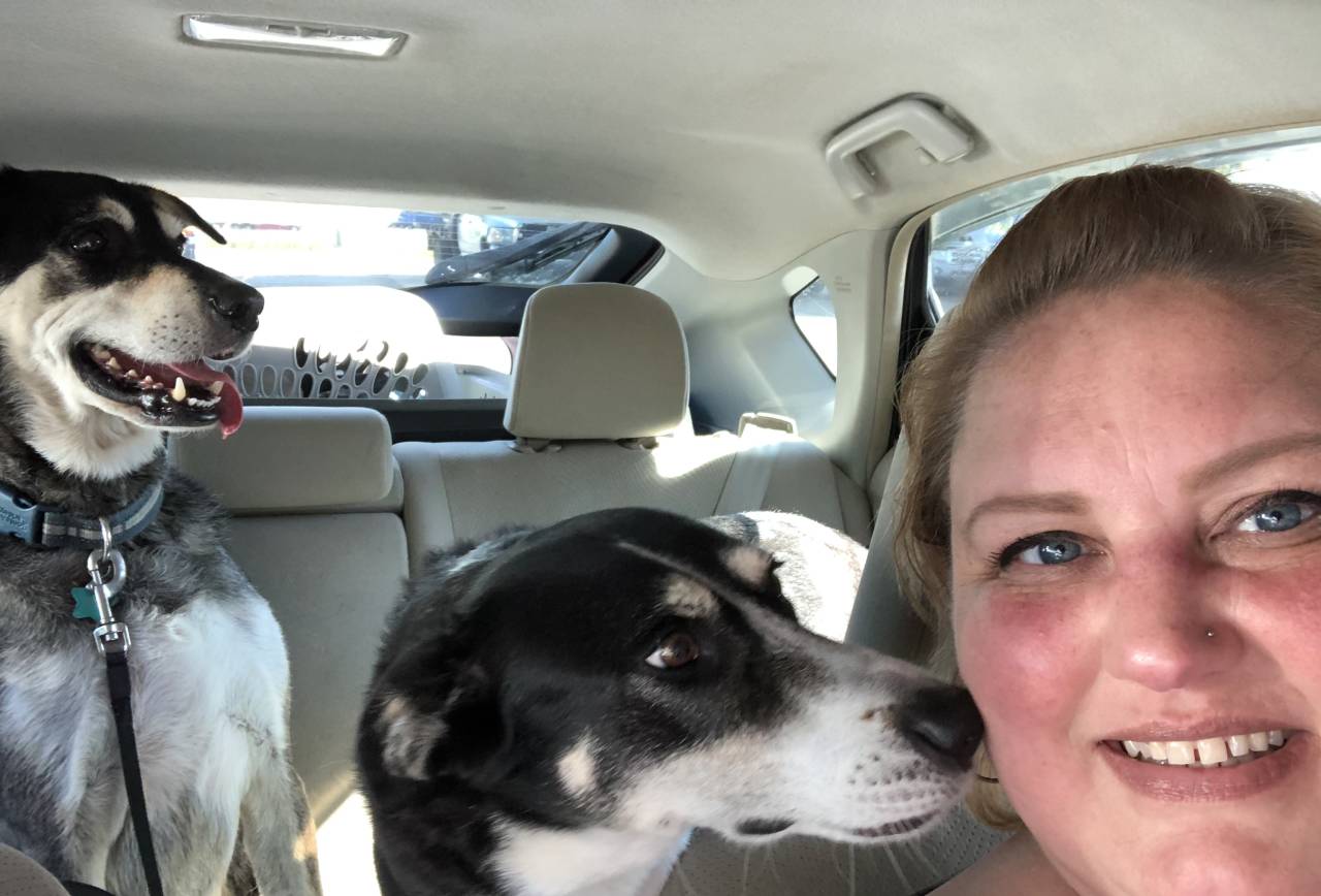 Pet travel photo 6