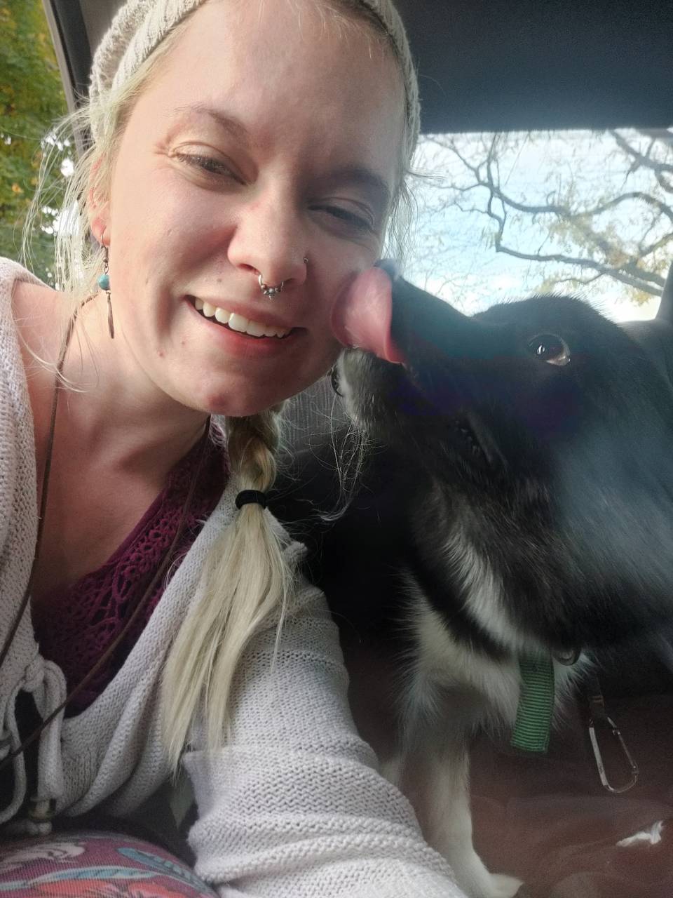 Pet travel photo 5