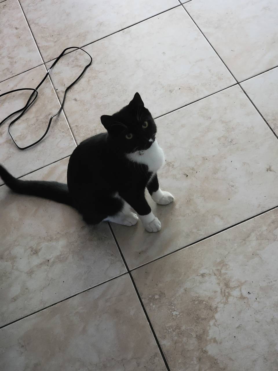 Bella