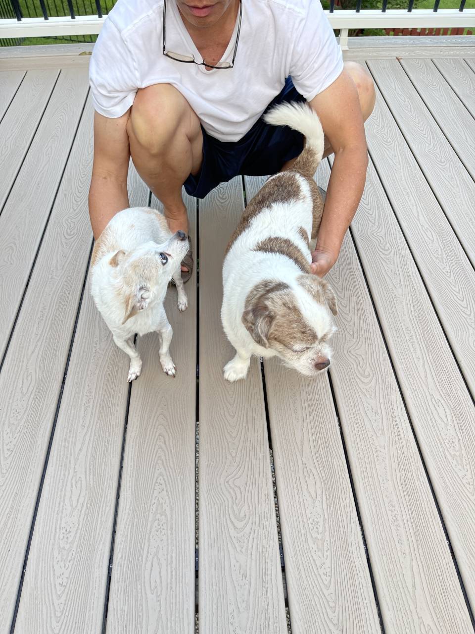 Milo, Louis