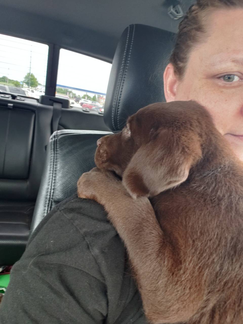 Pet travel photo 4
