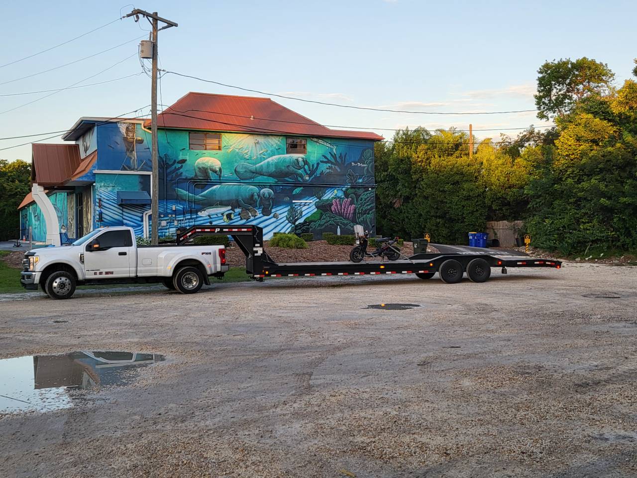 Scaphirra transport