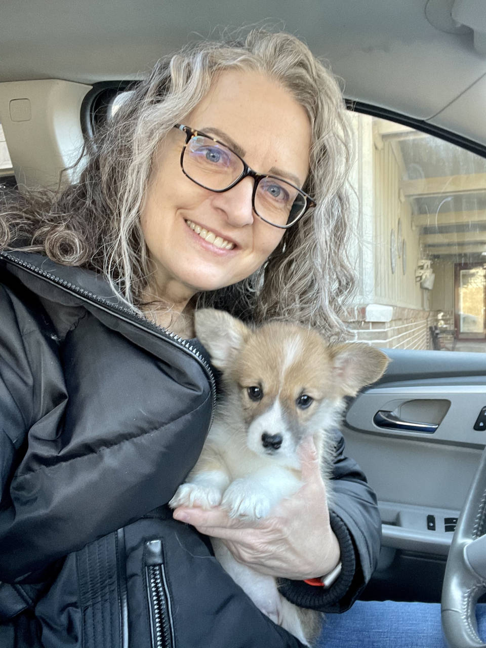 Pet travel photo 5