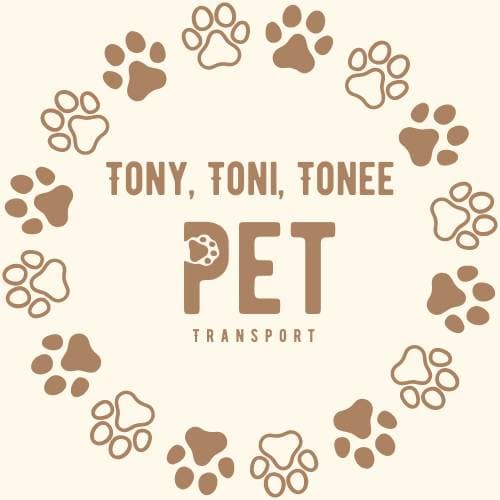 Toni Tony Tonee - Flight Nanny
