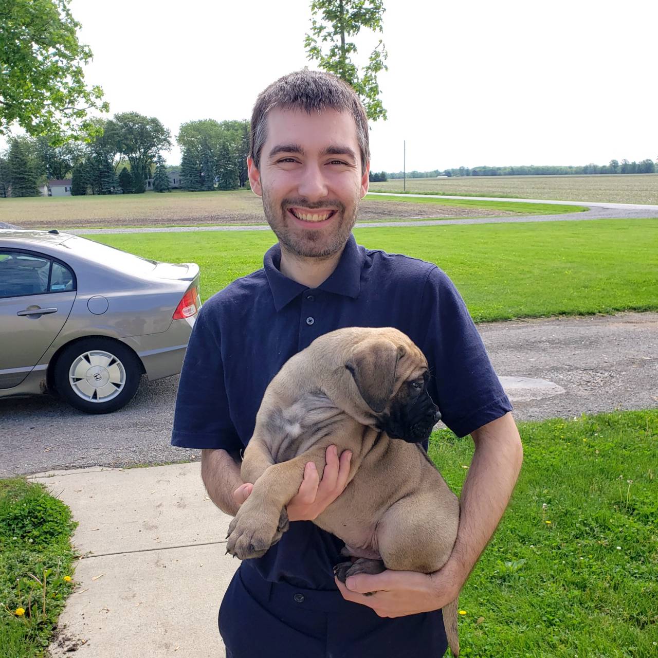 Pet travel photo 1