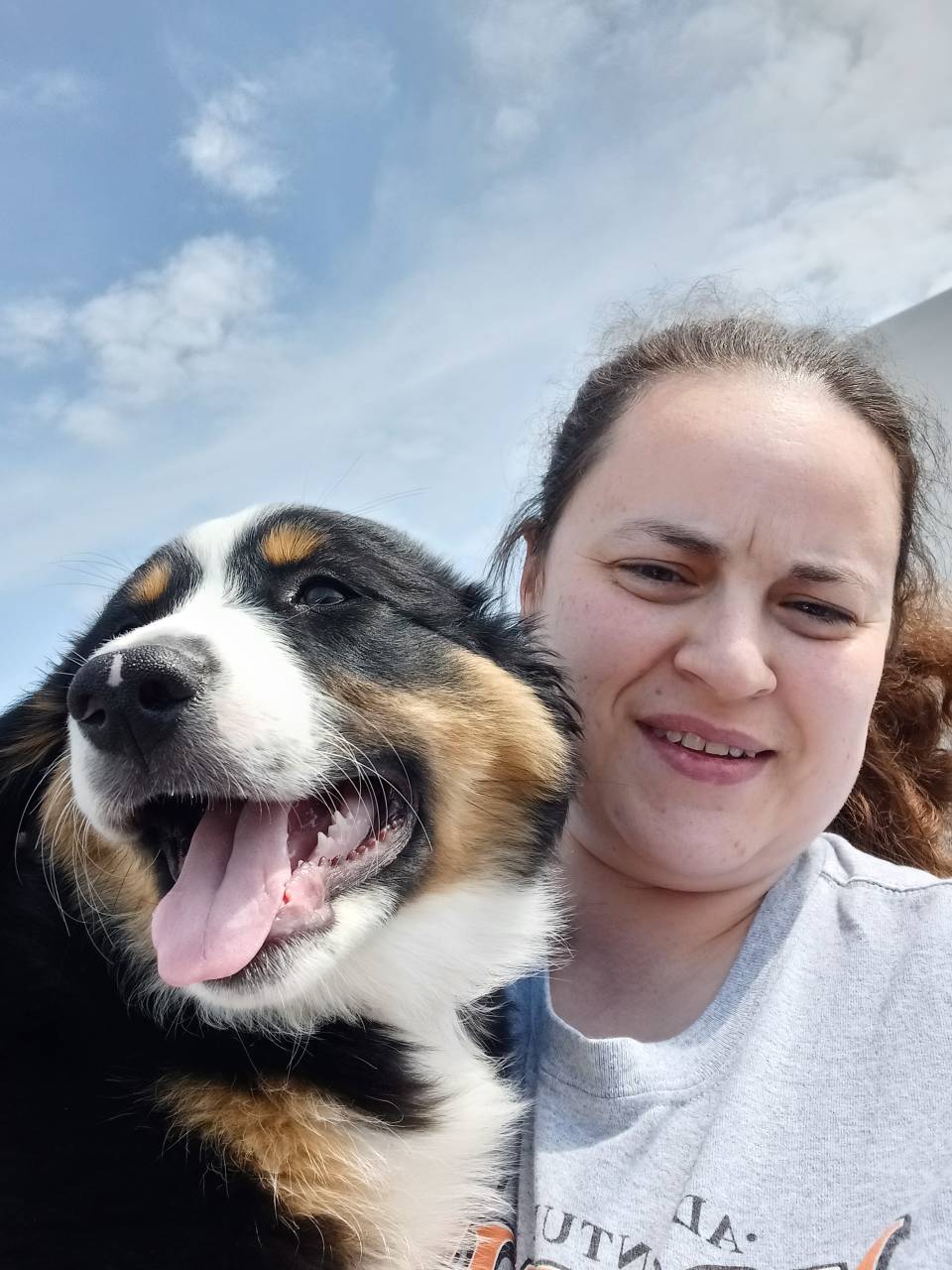 Pet travel photo 1
