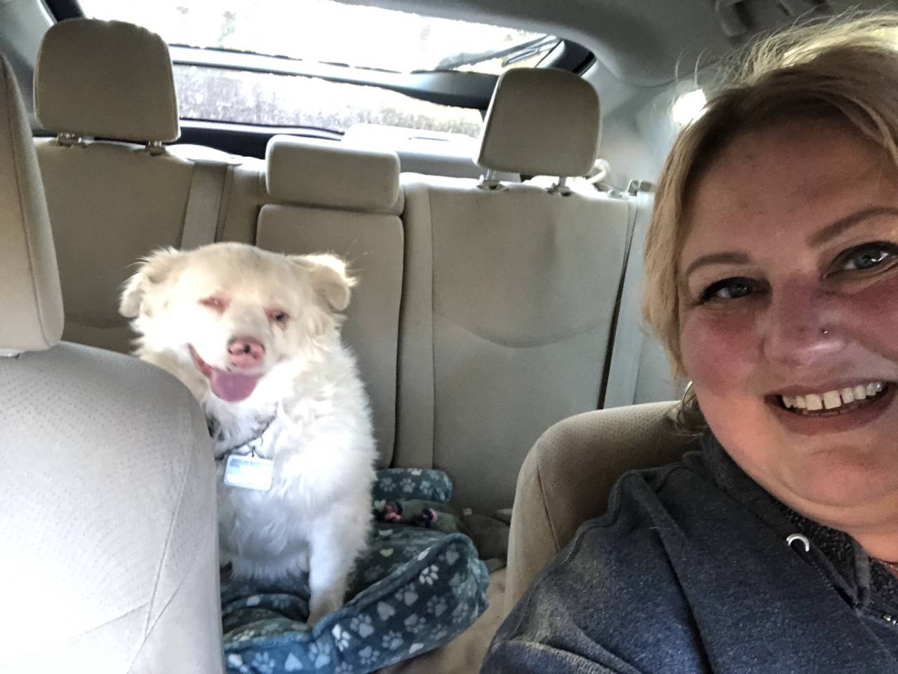 Pet travel photo 5