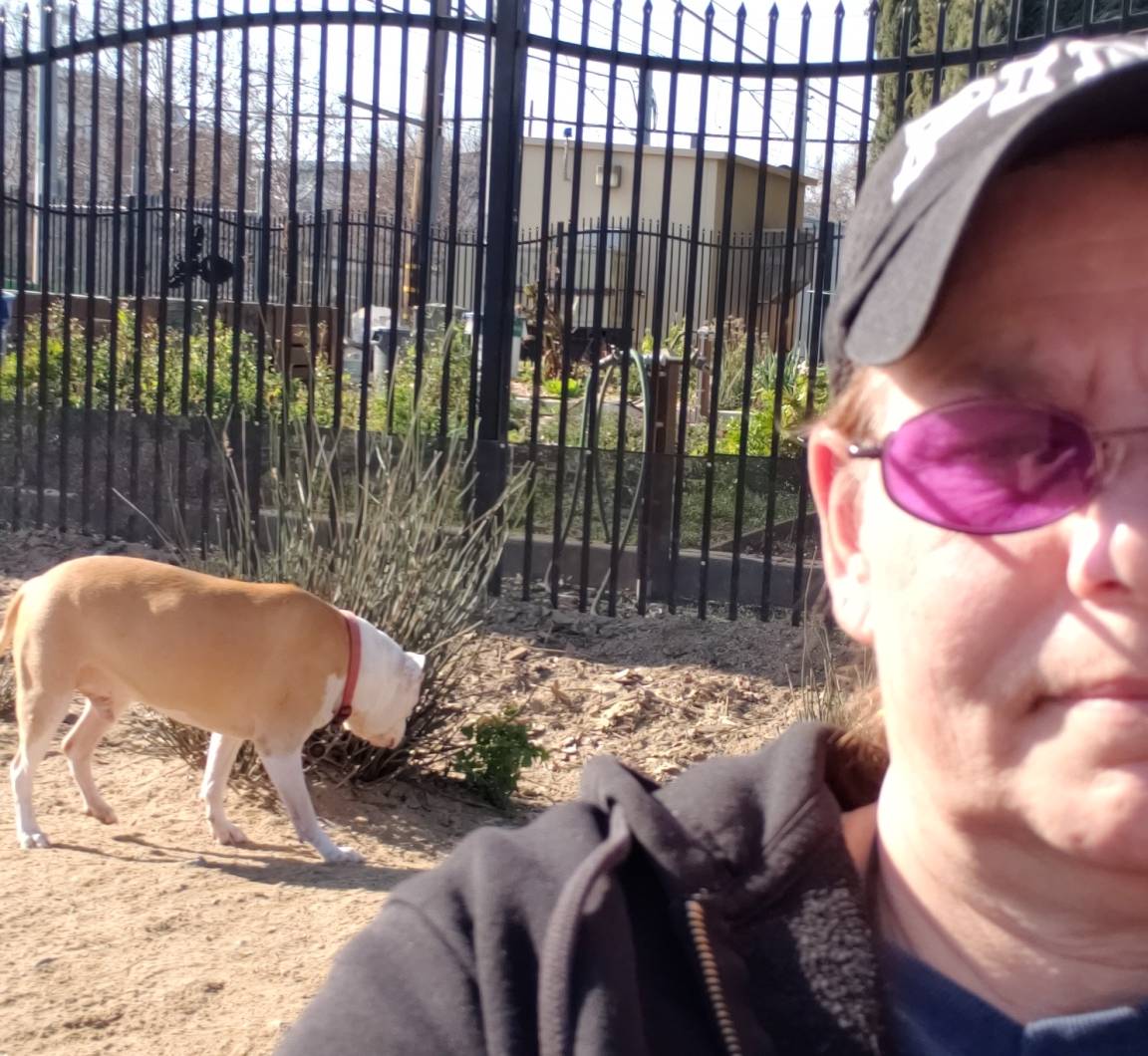 Oakhurst, CA reviews
