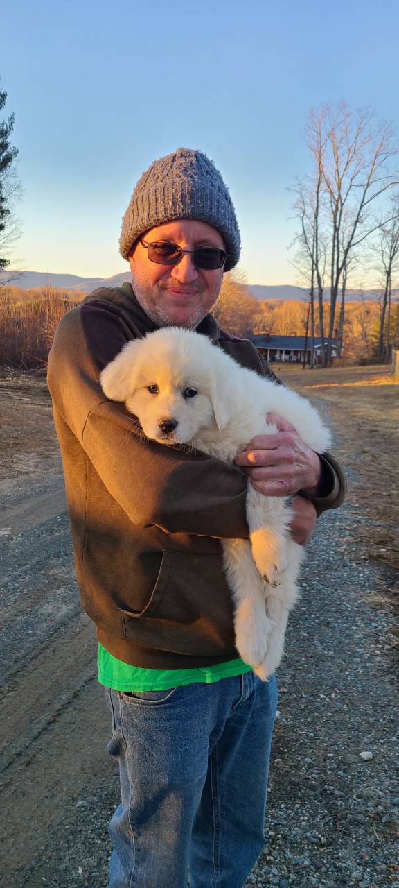 Mountain hawk transportation