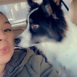 Dogs And Dalila LLC