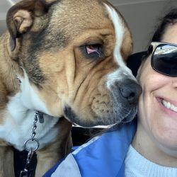 Noble Pets Transport LLC