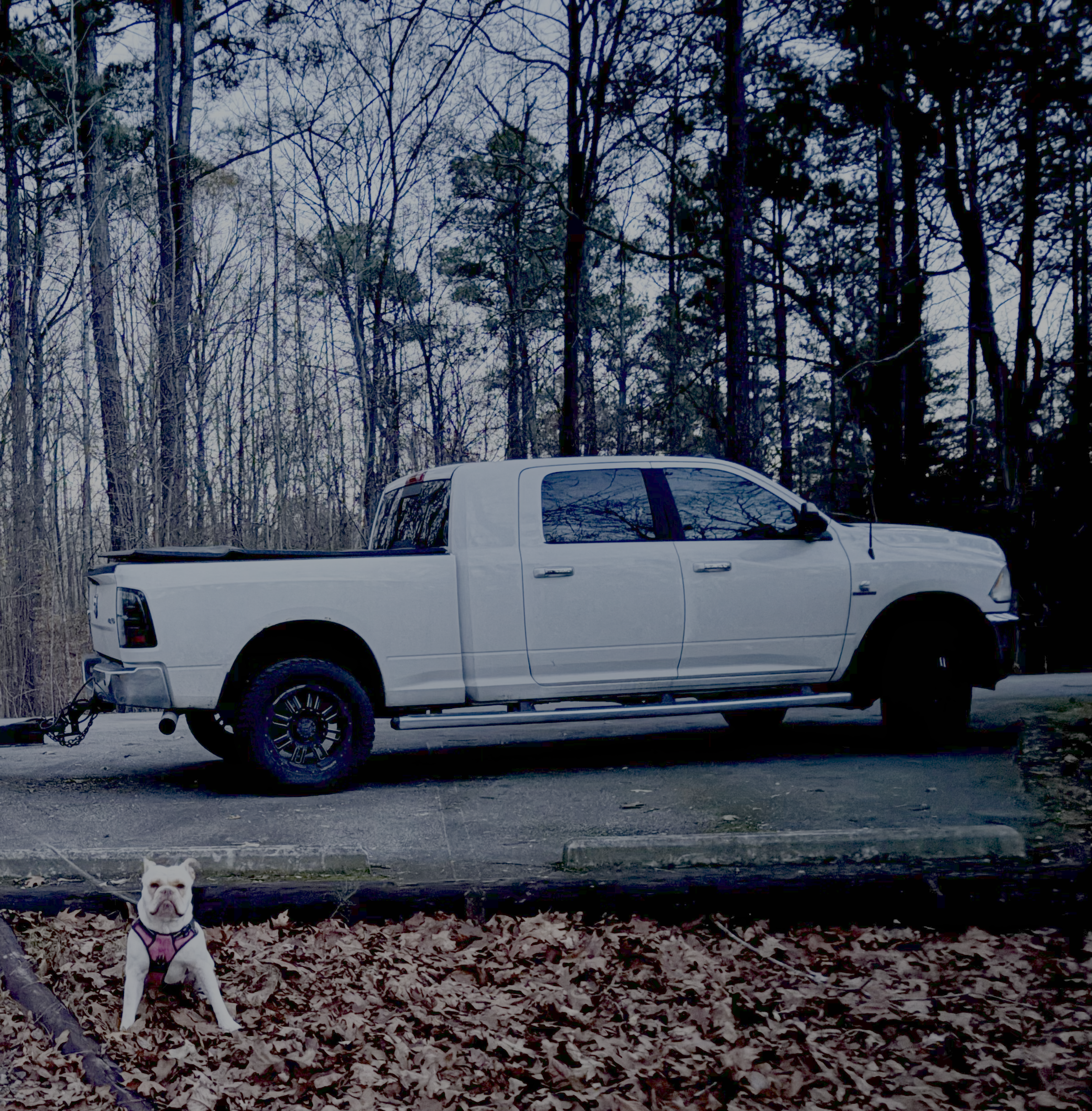 2015 RAM 2500 Mega Cab