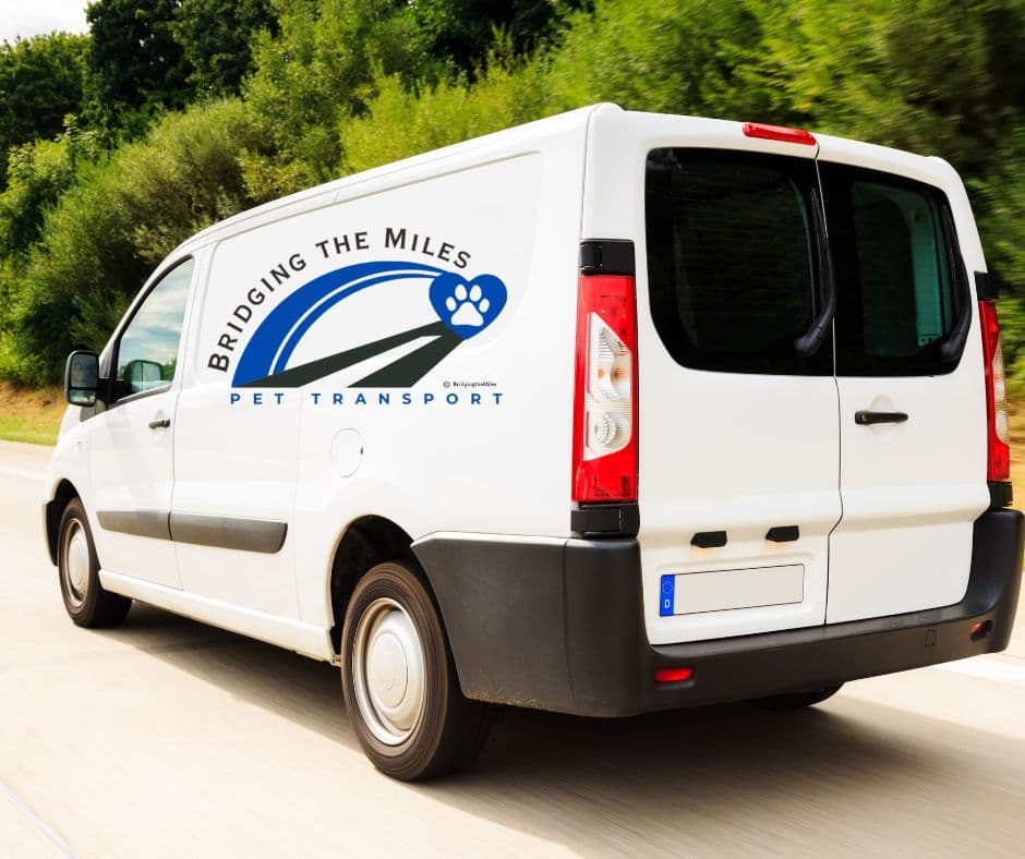 2024 Ford Transit 250 Cargo Van