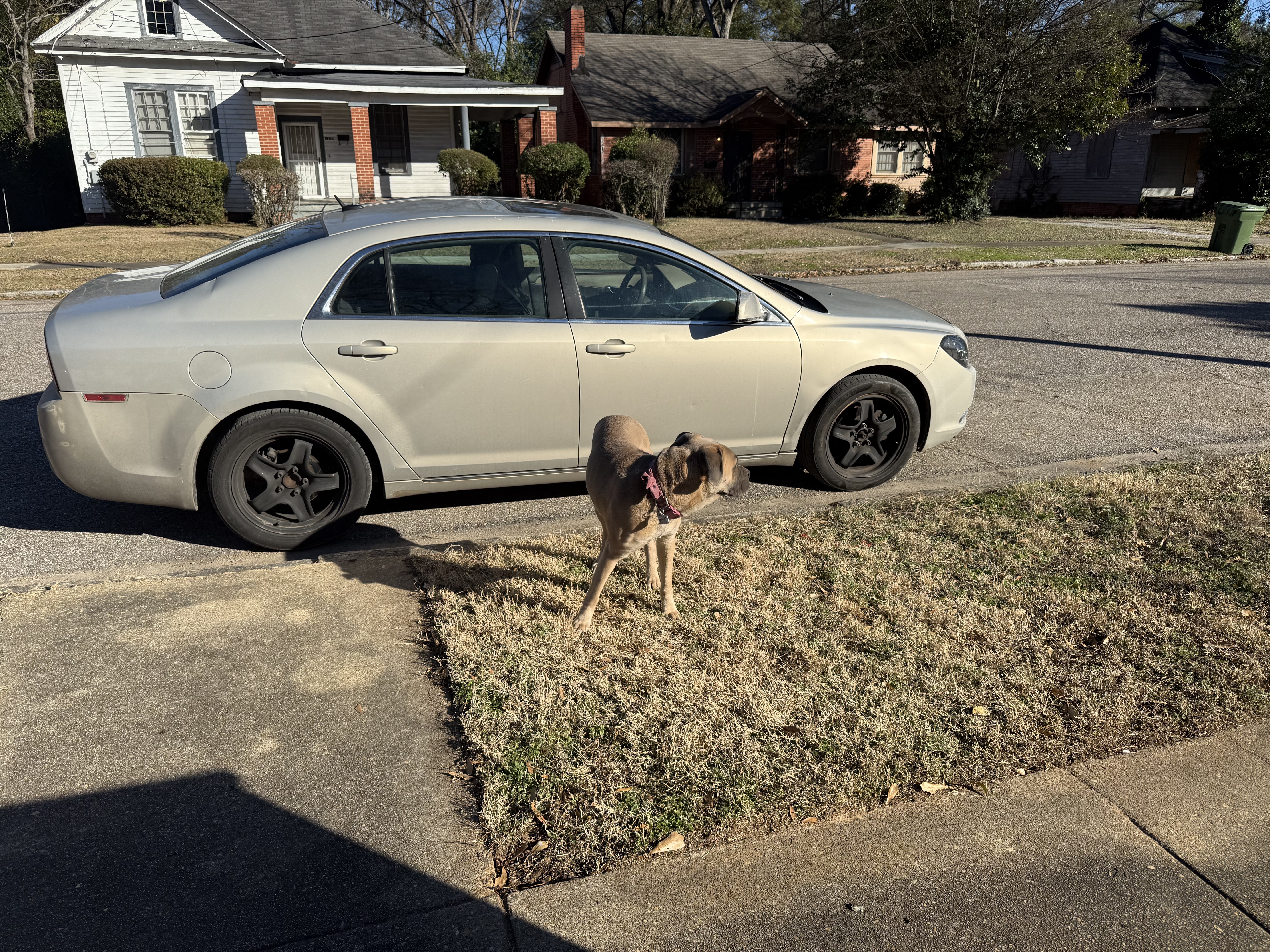 2010 Chevrolet Malibu