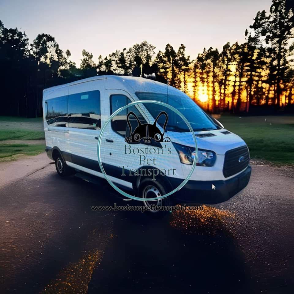 2018 Ford Transit 250 Van