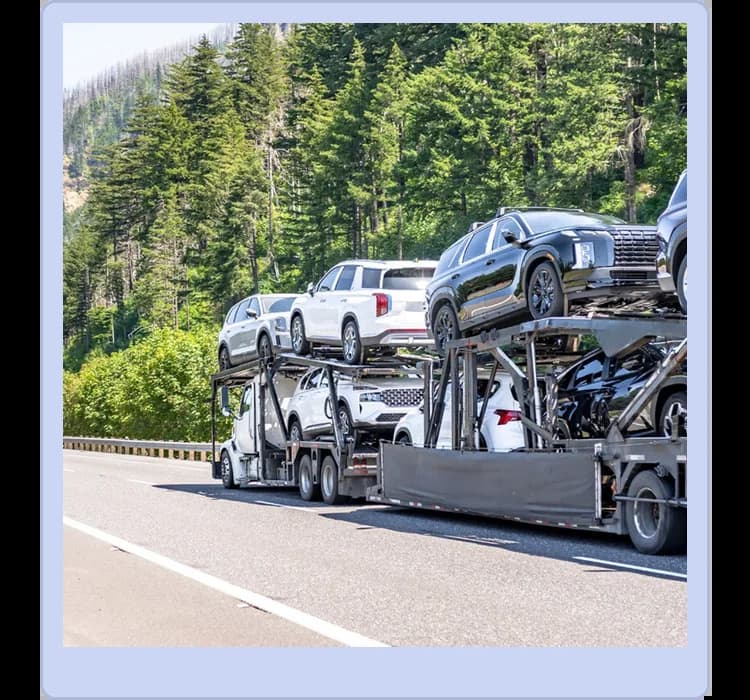 A car carrier truck transports multiple SUVs on a highway bordered by dense green trees under a clear sky.
