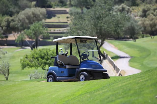 A blue golf cart is parked on a grassy slope next to a golf course path, surrounded by trees and greenery.