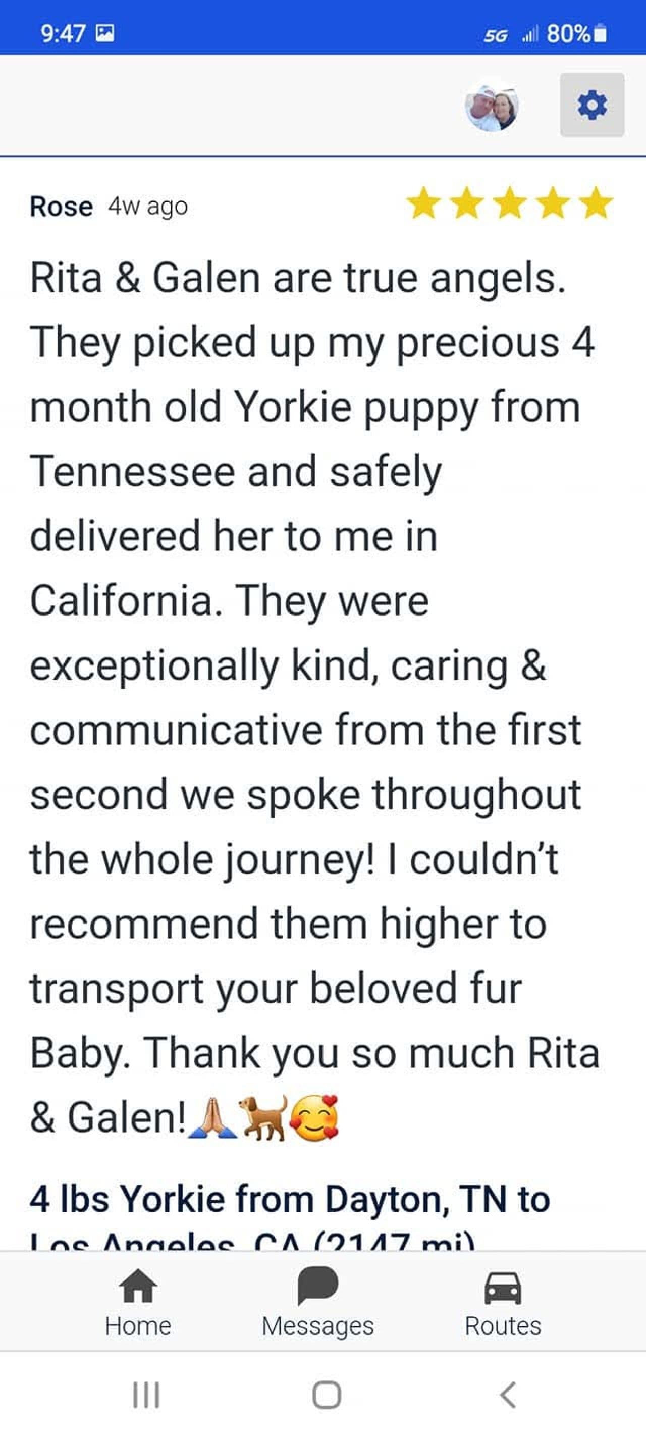 Pet travel photo 4