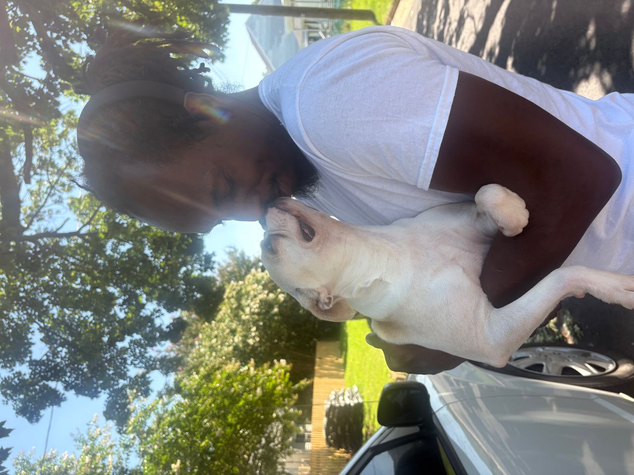 Pet travel photo 1