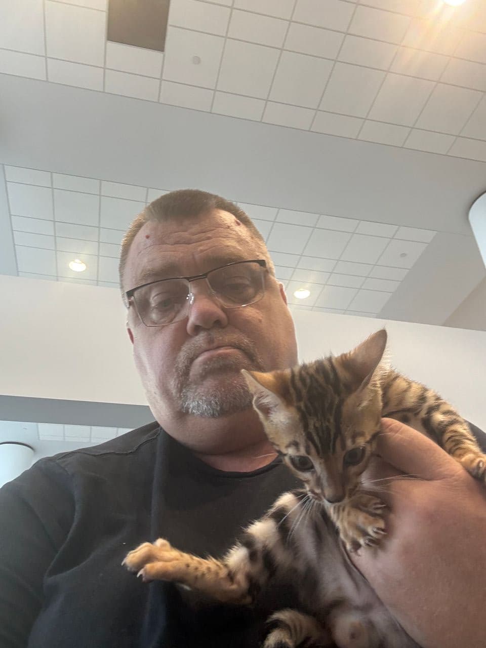 Pet travel photo 6