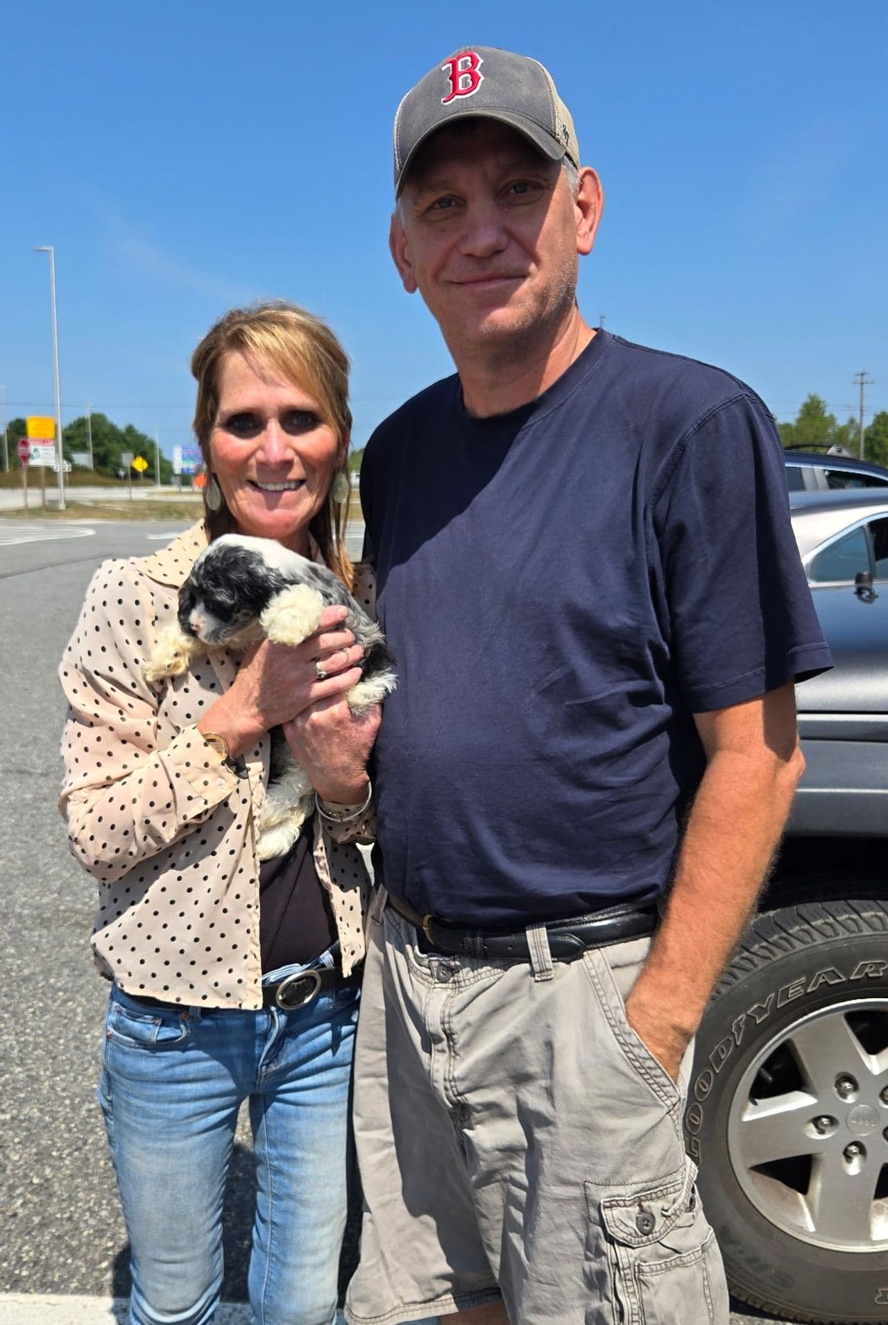 Pet travel photo 5