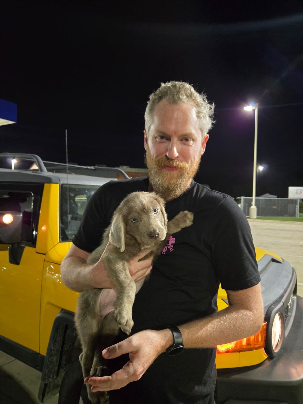 Pet travel photo 1