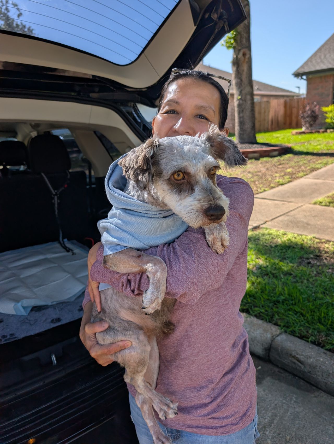Pet travel photo 1
