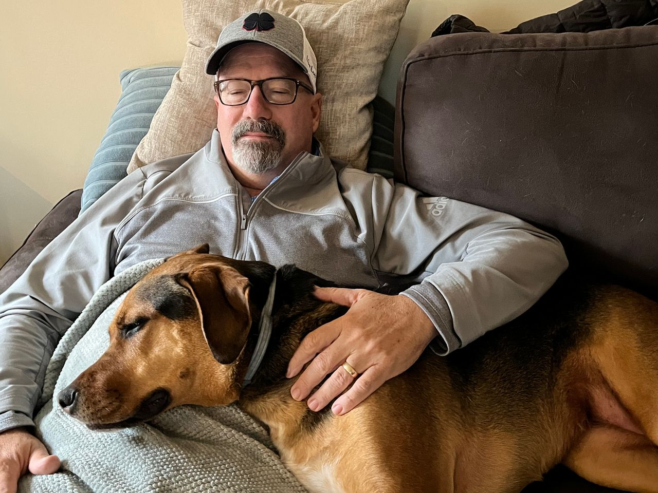 Pet travel photo 2