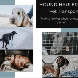 Hound Haulers Pet Transport