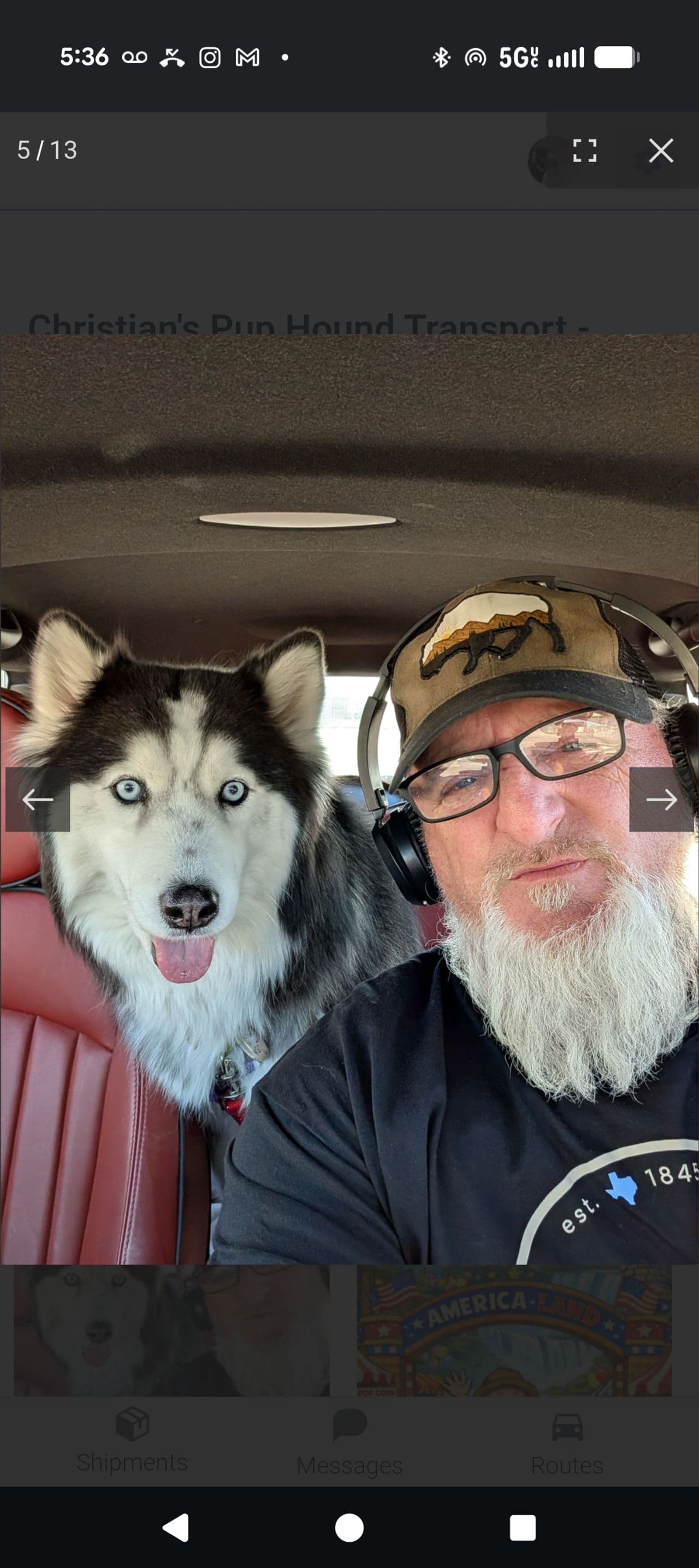 Pet travel photo 1